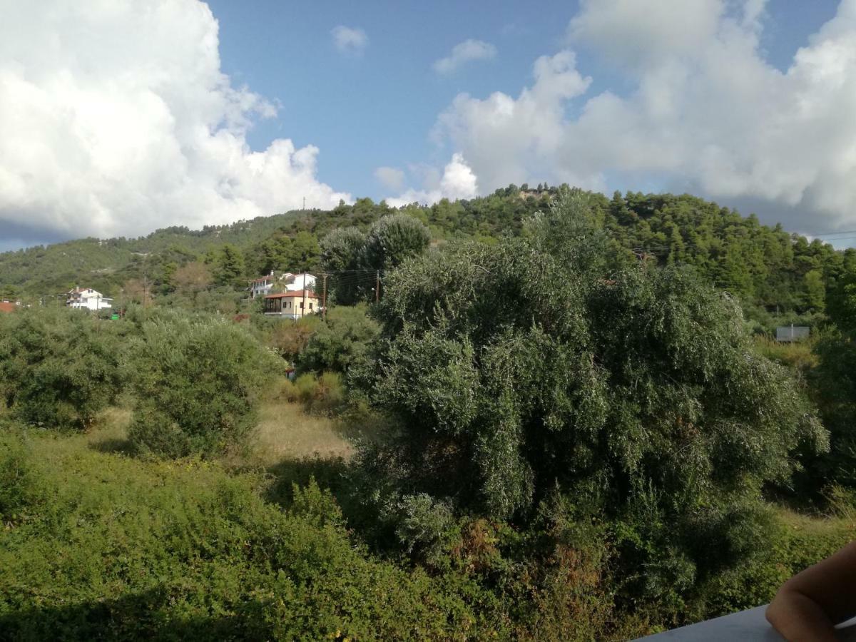 House Nativa Apartment Mola Kalyva Exterior photo